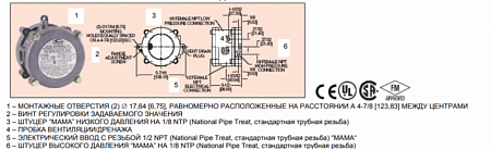 Взрывобезопасное реле дифференциального давления воздуха и газа Exd IP64 фото в Инженерном центре РУБИКОН